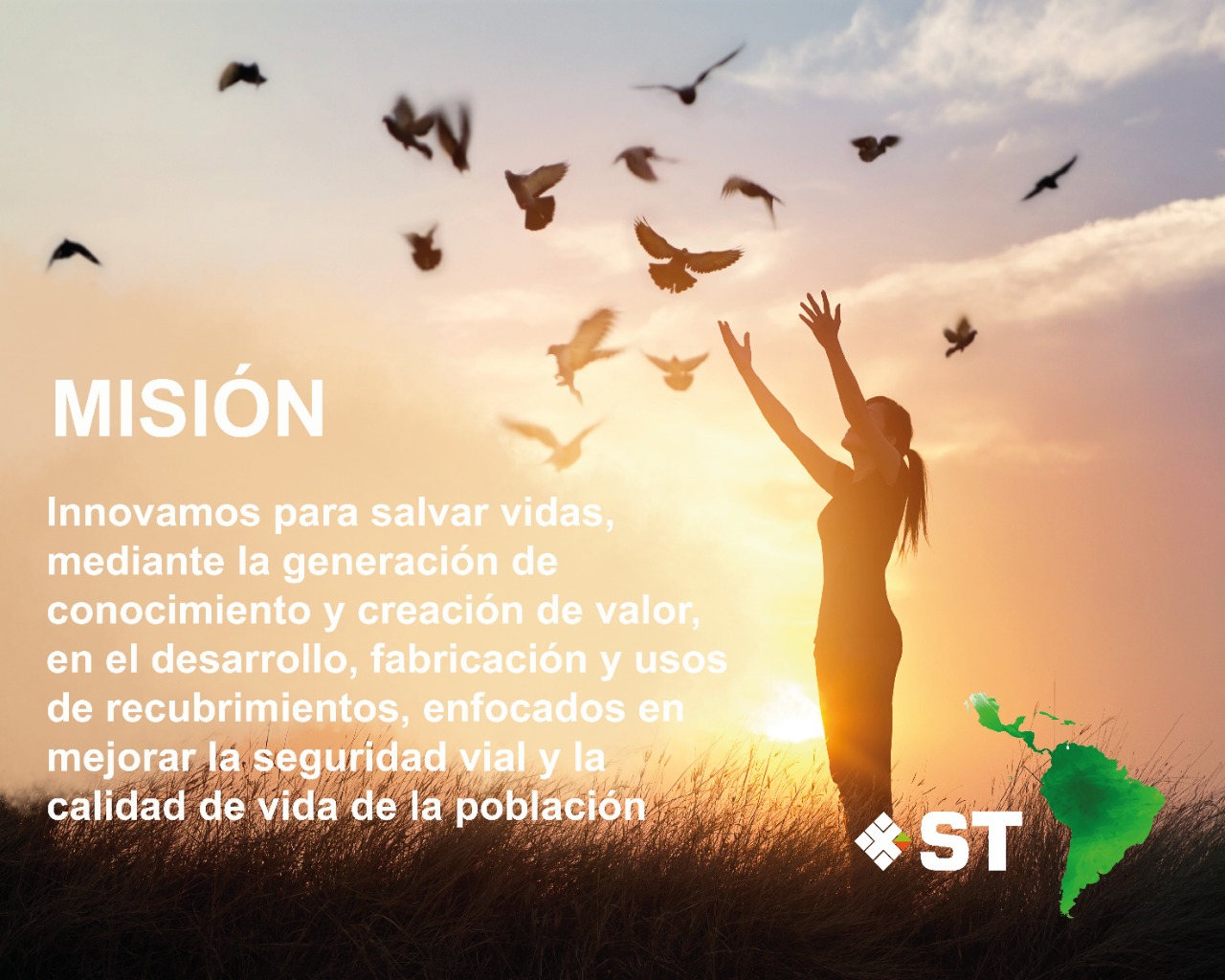 Misión